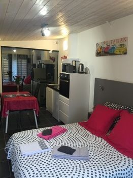 Apartment Pierre Francois *