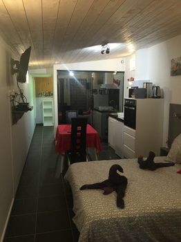 Apartment Pierre Francois